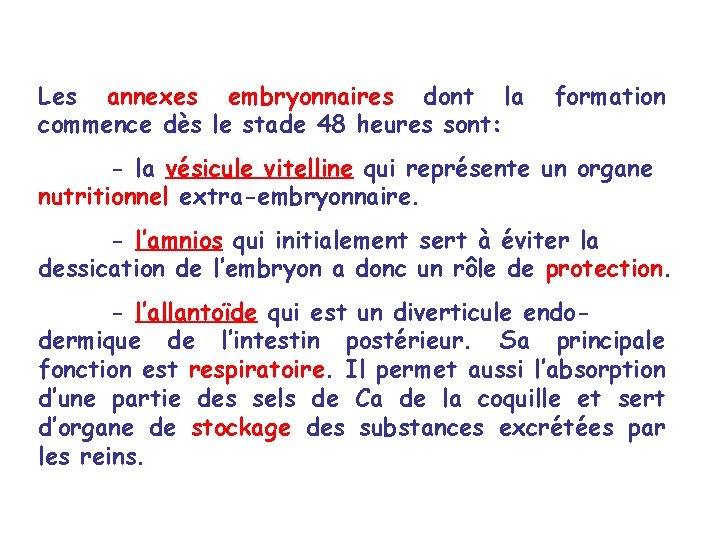 Les annexes embryonnaires dont la commence dès le stade 48 heures sont: formation -