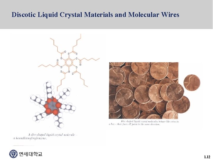Discotic Liquid Crystal Materials and Molecular Wires 1. 12 