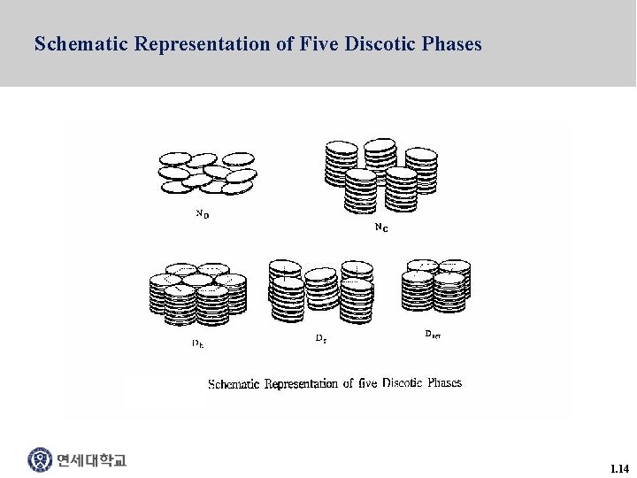 Schematic Representation of Five Discotic Phases 1. 14 
