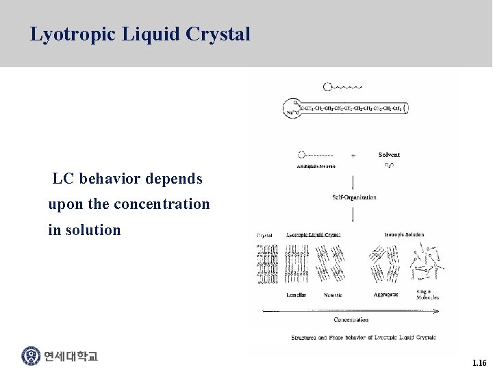 Lyotropic Liquid Crystal LC behavior depends upon the concentration in solution > 1. 16