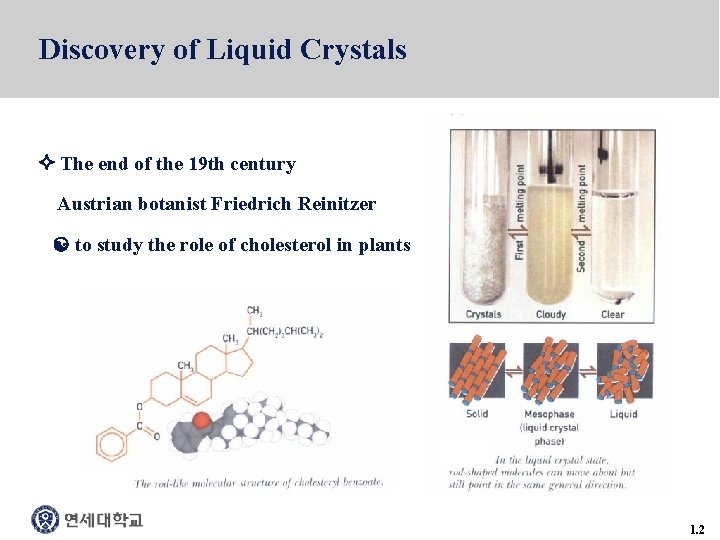 Discovery of Liquid Crystals The end of the 19 th century Austrian botanist Friedrich