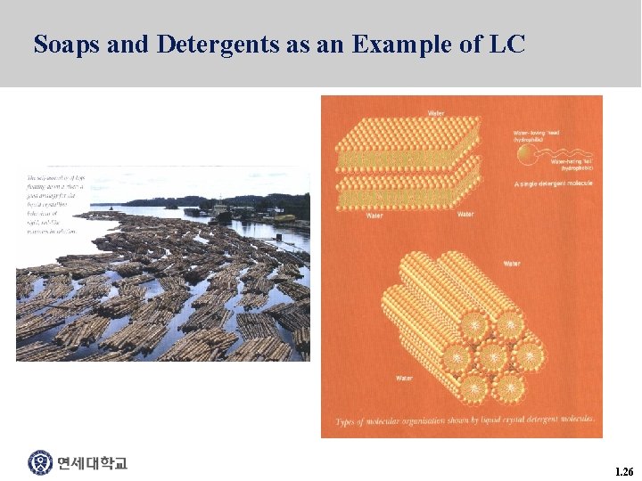 Soaps and Detergents as an Example of LC 1. 26 