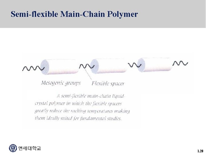 Semi-flexible Main-Chain Polymer 1. 28 