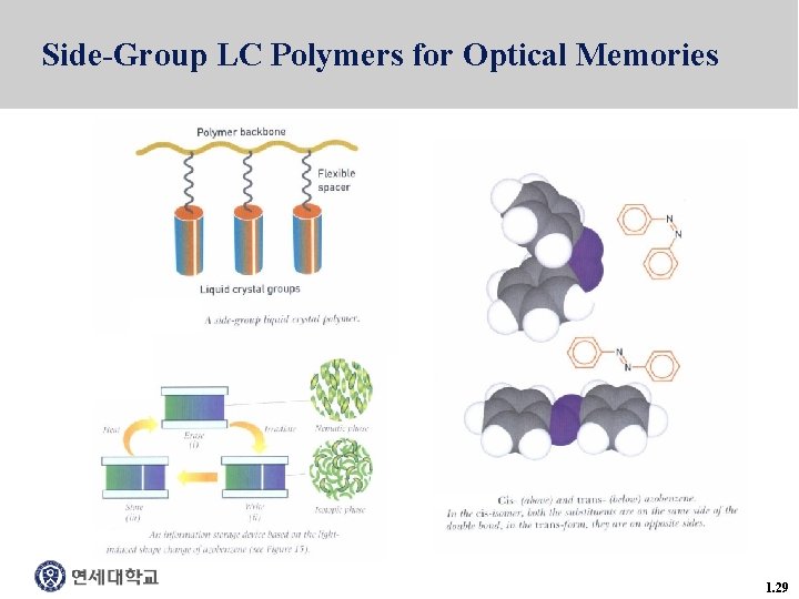 Side-Group LC Polymers for Optical Memories 1. 29 