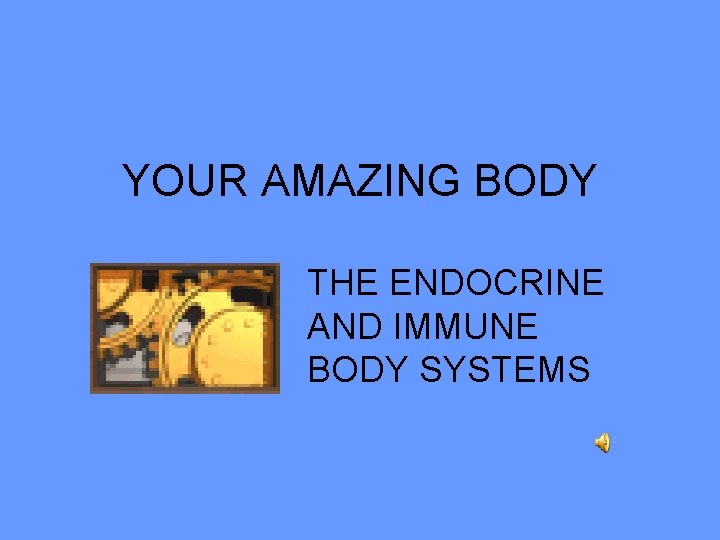 YOUR AMAZING BODY THE ENDOCRINE AND IMMUNE BODY SYSTEMS 