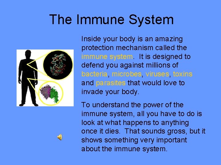 The Immune System Inside your body is an amazing protection mechanism called the immune