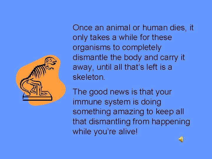 Once an animal or human dies, it only takes a while for these organisms