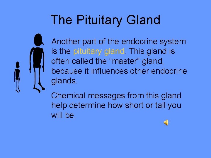 The Pituitary Gland Another part of the endocrine system is the pituitary gland. This