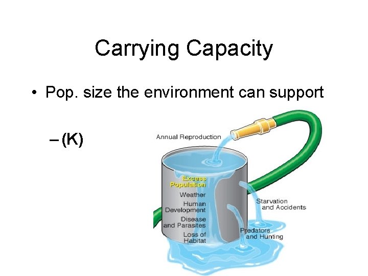 Carrying Capacity • Pop. size the environment can support – (K) 