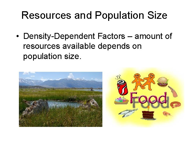 Resources and Population Size • Density-Dependent Factors – amount of resources available depends on