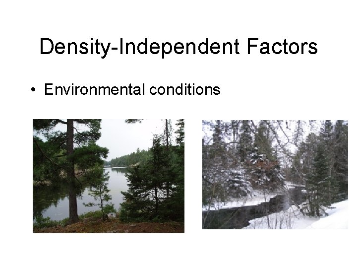 Density-Independent Factors • Environmental conditions 