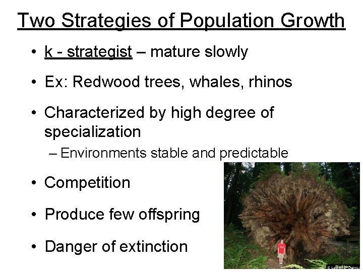 Two Strategies of Population Growth • k - strategist – mature slowly • Ex: