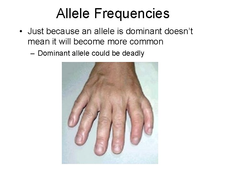 Allele Frequencies • Just because an allele is dominant doesn’t mean it will become