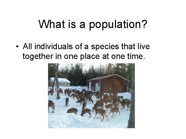 What is a population? • All individuals of a species that live together in