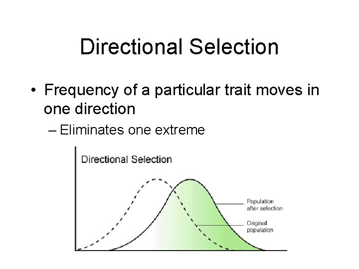 Directional Selection • Frequency of a particular trait moves in one direction – Eliminates