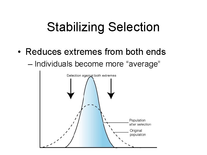 Stabilizing Selection • Reduces extremes from both ends – Individuals become more “average” 