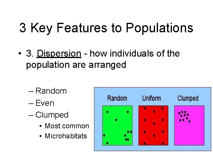 3 Key Features to Populations • 3. Dispersion - how individuals of the population