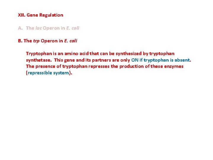 XII. Gene Regulation A. The lac Operon in E. coli B. The trp Operon