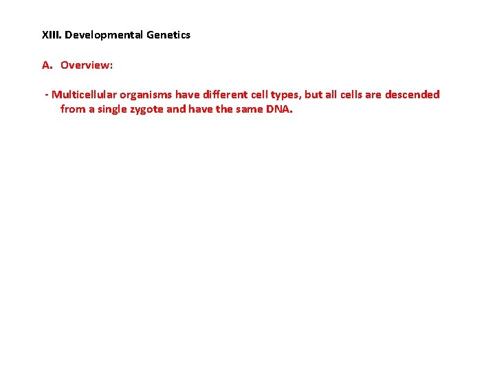 XIII. Developmental Genetics A. Overview: - Multicellular organisms have different cell types, but all