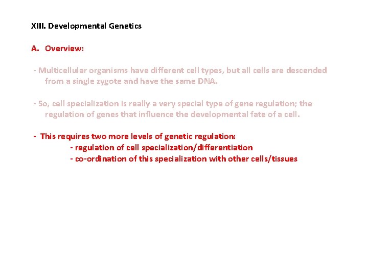 XIII. Developmental Genetics A. Overview: - Multicellular organisms have different cell types, but all