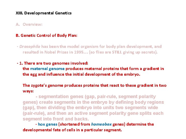 XIII. Developmental Genetics A. Overview: B. Genetic Control of Body Plan: - Drosophila has