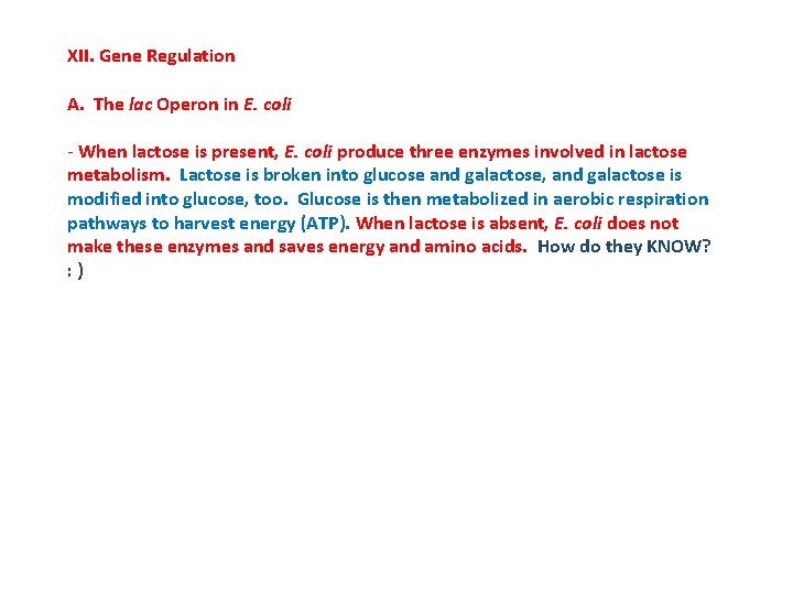 XII. Gene Regulation A. The lac Operon in E. coli - When lactose is