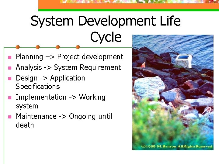 System Development Life Cycle n n n Planning –> Project development Analysis -> System System Development Life Cycle n n n Planning –> Project development Analysis -> System