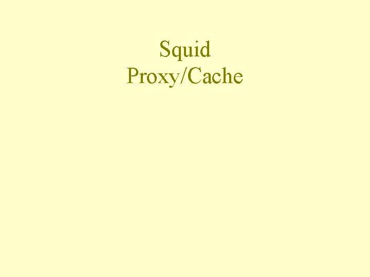 Squid Proxy/Cache 