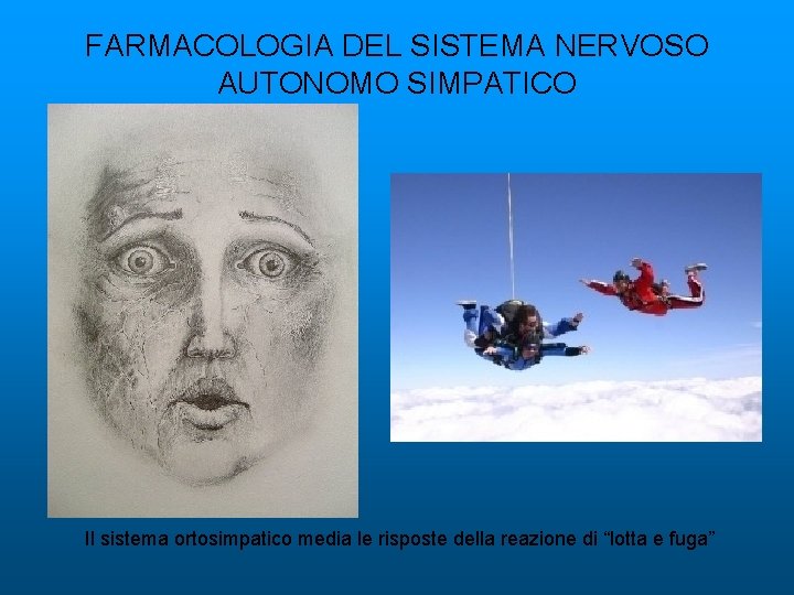 FARMACOLOGIA DEL SISTEMA NERVOSO AUTONOMO SIMPATICO Il sistema ortosimpatico media le risposte della reazione