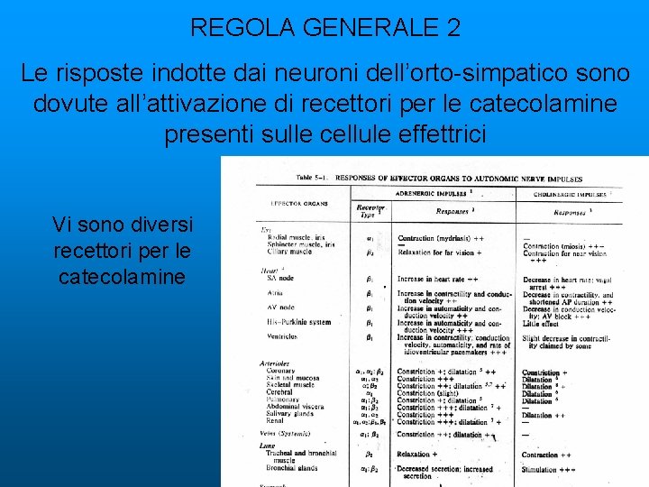 REGOLA GENERALE 2 Le risposte indotte dai neuroni dell’orto-simpatico sono dovute all’attivazione di recettori