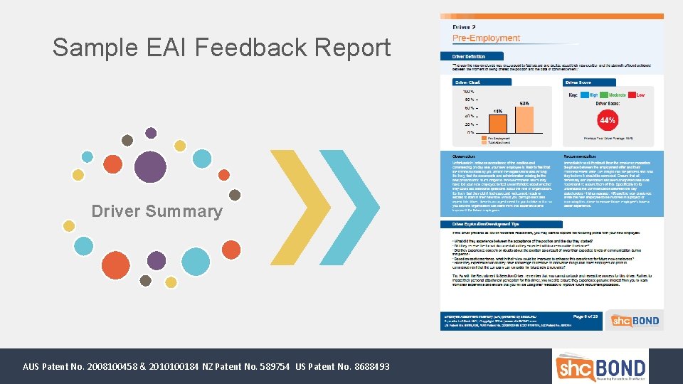 Sample EAI Feedback Report Driver Summary AUS Patent No. 2008100458 & 2010100184 NZ Patent