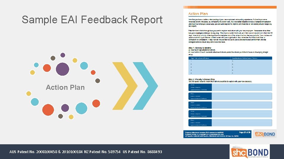 Sample EAI Feedback Report Action Plan AUS Patent No. 2008100458 & 2010100184 NZ Patent