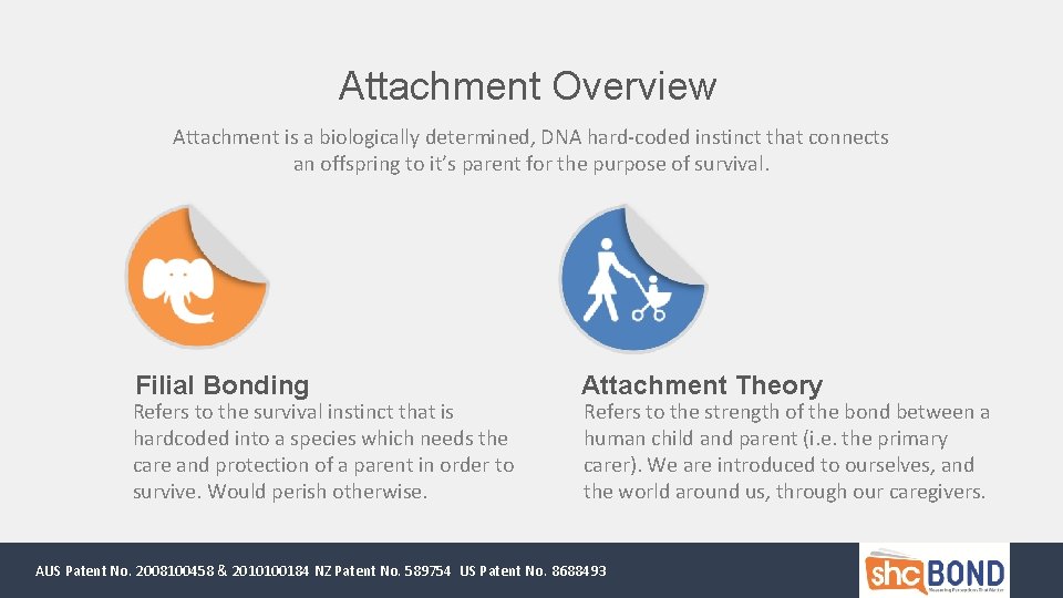 Attachment Overview Attachment is a biologically determined, DNA hard-coded instinct that connects an offspring