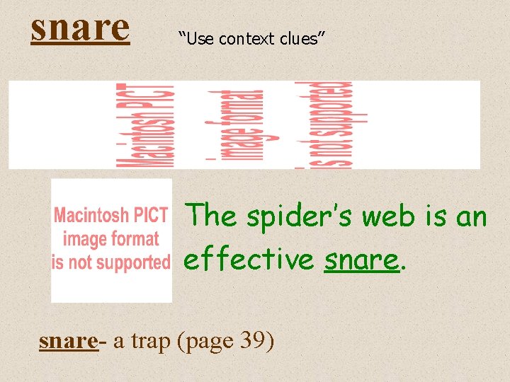 snare “Use context clues” The rope of a poacher’s trap had been pulled so