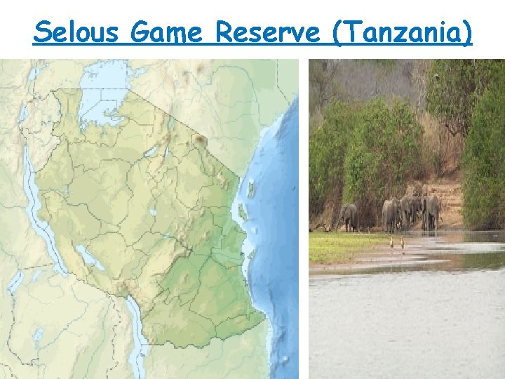 Selous Game Reserve (Tanzania) 