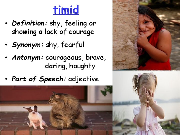 timid • Definition: shy, feeling or showing a lack of courage • Synonym: shy, timid • Definition: shy, feeling or showing a lack of courage • Synonym: shy,