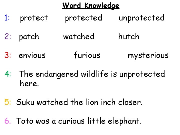 Word Knowledge 1: protect 2: patch 3: envious protected unprotected watched hutch furious mysterious