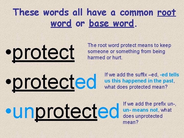 These words all have a common root word or base word. • protected •