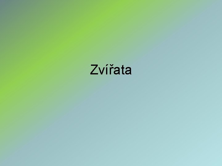 Zvířata 