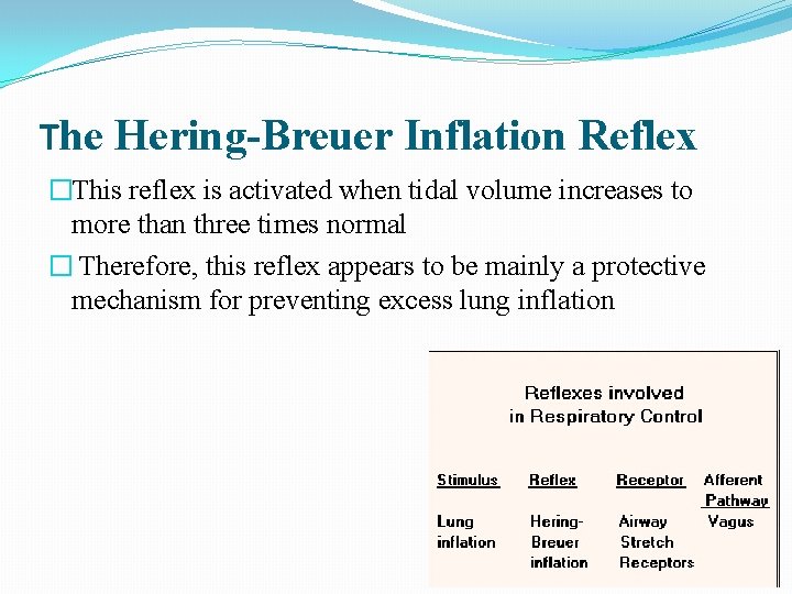 The Hering-Breuer Inflation Reflex �This reflex is activated when tidal volume increases to more