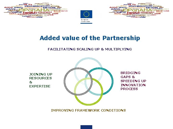 Added value of the Partnership FACILITATING SCALING UP & MULTIPLYING JOINING UP RESOURCES &