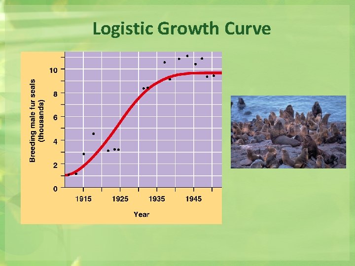 Logistic Growth Curve 