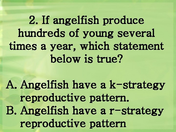 2. If angelfish produce hundreds of young several times a year, which statement below