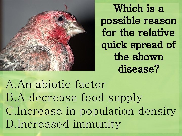 Which is a possible reason for the relative quick spread of the shown disease?