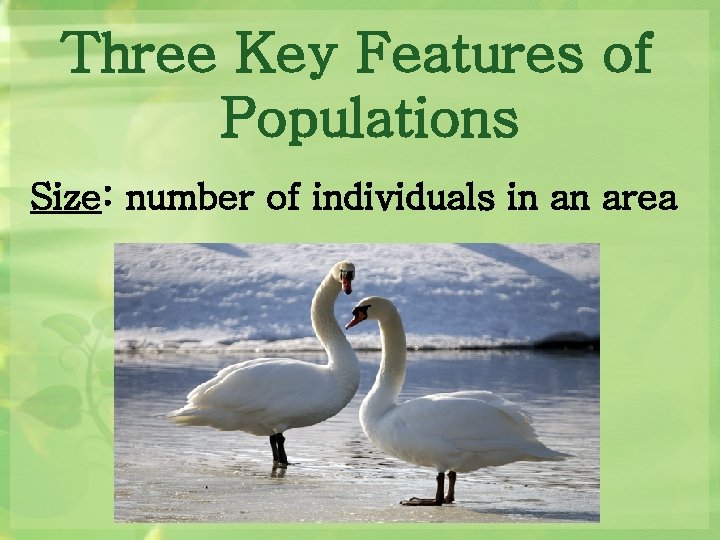 Three Key Features of Populations Size: number of individuals in an area 