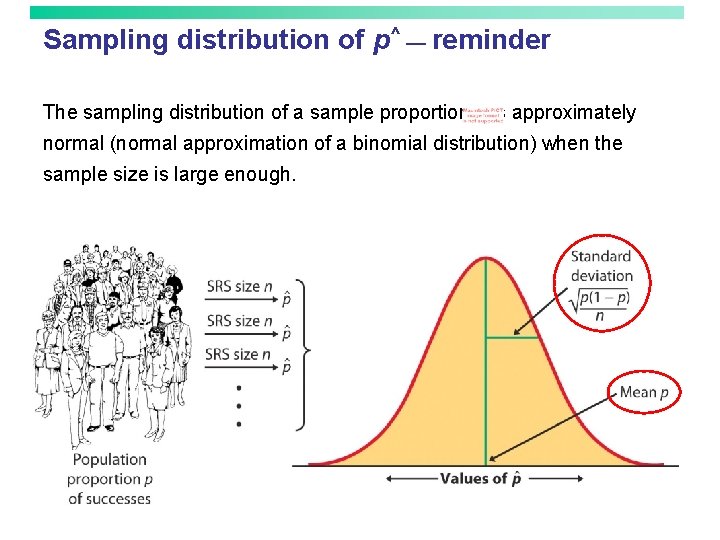 Sampling distribution of p^ — reminder The sampling distribution of a sample proportion is