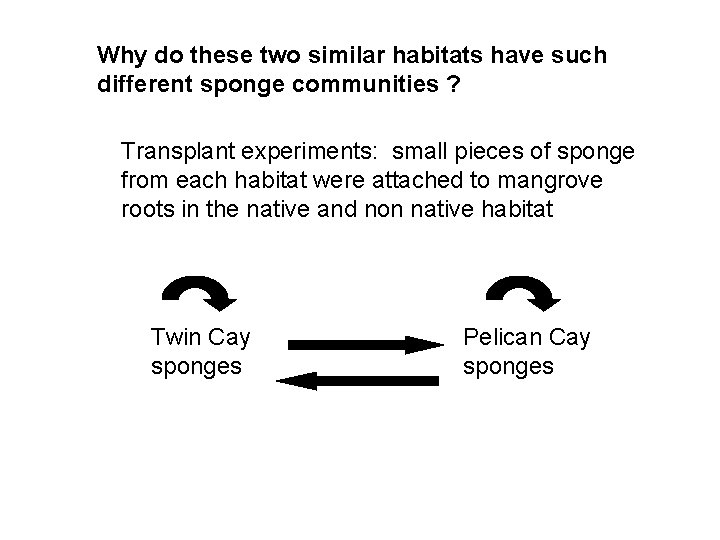 Why do these two similar habitats have such different sponge communities ? Transplant experiments: