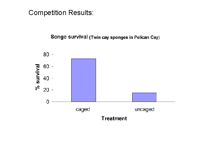 Competition Results: 