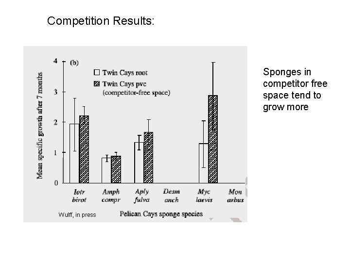 Competition Results: Sponges in competitor free space tend to grow more Wulff, in press