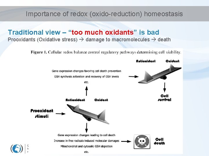 Importance of redox (oxido-reduction) homeostasis Traditional view – “too much oxidants” is bad Prooxidants